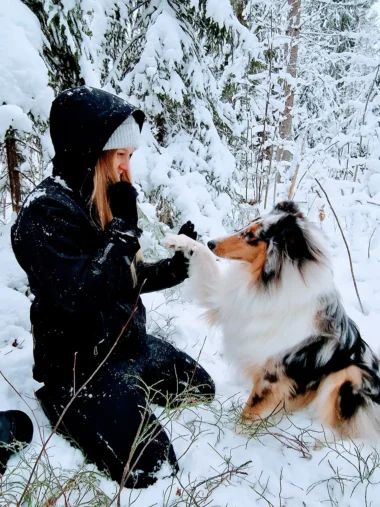 Meistä 8 nainen kättelee koiraa talvella metsässä