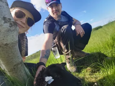 Meistä 17 mies ja nainen rapsuttelee lammasta