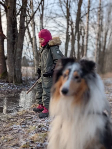 Meistä 53 tyttö ja koira leikkii ulkona talvella