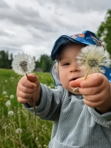 Meistä 8