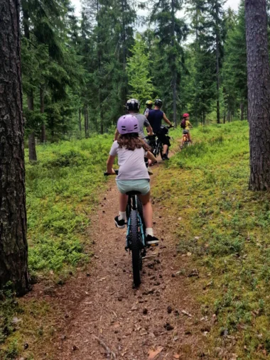 Karavaani kulkee Pyöräletka kulkee metsäpolulla